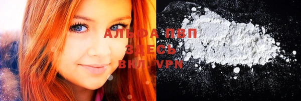 прущие грибы Сясьстрой