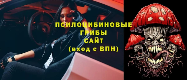 прущие грибы Сясьстрой