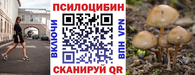Псилоцибиновые грибы Psilocybine cubensis  Купить где  Старица 